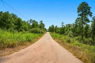 114 Pinedale Dr, Bastrop, TX 78602 - Photo 39