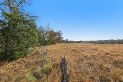 6975 Silver Mine Road, Harwood, TX 78632 - Photo 29