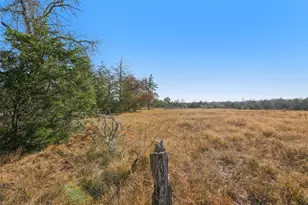 6975 Silvermine Rd, Harwood, TX 78632 - Photo 29