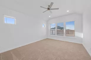 313 Royal Fern Rd, Hutto, TX 78634 - Photo 9