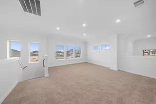 313 Royal Fern Rd, Hutto, TX 78634 - Photo 21