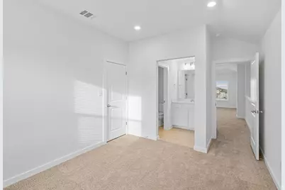 313 Royal Fern Road, Hutto, TX 78634 - Photo 29