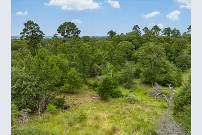 000 McAllister Road, Bastrop, TX 78602 - Photo 13