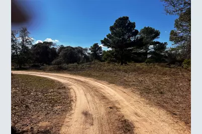 411 Laura Lane, Bastrop, TX 78602 - Photo 3