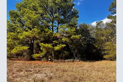 411 Laura Lane, Bastrop, TX 78602 - Photo 5
