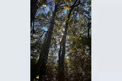 411 Laura Lane, Bastrop, TX 78602 - Photo 13