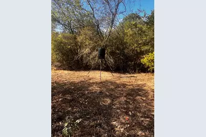 411 Laura Lane, Bastrop, TX 78602 - Photo 7