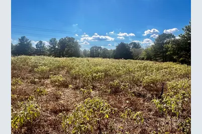 411 Laura Lane, Bastrop, TX 78602 - Photo 9