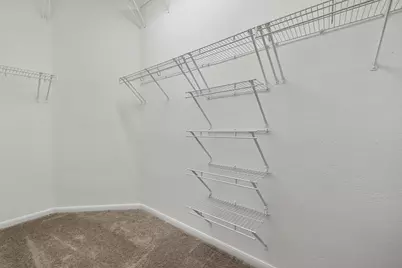 305 Plumbago Drive, Pflugerville, TX 78660 - Photo 29