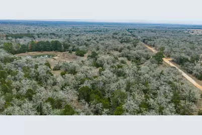 150 Turner Lane, Paige, TX 78659 - Photo 33