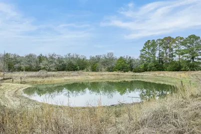 150 Turner Lane, Paige, TX 78659 - Photo 13