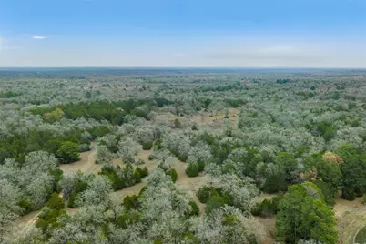 150 Turner Lane, Paige, TX 78659 - Photo 31