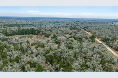 150 Turner Lane, Paige, TX 78659 - Photo 33