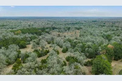 150 Turner Lane, Paige, TX 78659 - Photo 31