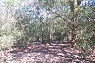 Tbd Fm 532, Hallettsville, TX 77964 - Photo 23