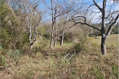 Tbd Fm 532, Hallettsville, TX 77964 - Photo 11