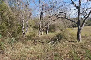 Tbd Fm 532, Hallettsville, TX 77964 - Photo 11