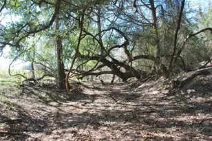 Tbd Fm 532, Hallettsville, TX 77964 - Photo 21