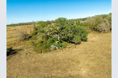 Tbd Fm 532, Hallettsville, TX 77964 - Photo 9