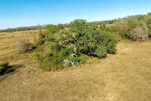Tbd Fm 532, Hallettsville, TX 77964 - Photo 9