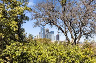 1018 Harwood Pl, Austin, TX 78704 - Photo 21