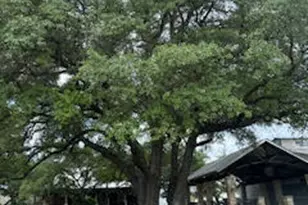 108 Cross Trail, Spicewood, TX 78669 - Photo 33