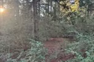 107 Lake Point Way, Bastrop, TX 78602 - Photo 1