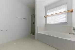 113 Spring Branch Cove, Kyle, TX 78640 - Photo 17