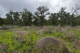 683 Co Rd 467, Thrall, TX 76578 - Photo 1