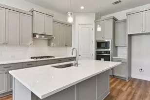 533 Prickly Poppy Loop, Kyle, TX 78640 - Photo 3