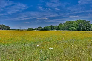 2165 Co Rd 250, Weimar, TX 78962 - Photo 3