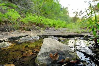 10700 Fm306, New Braunfels, TX 78132 - Photo 3