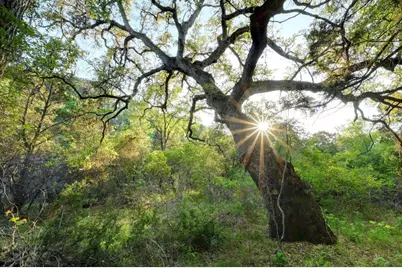 10700 Fm306, New Braunfels, TX 78132 - Photo 15