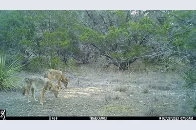 10700 Fm306, New Braunfels, TX 78132 - Photo 27