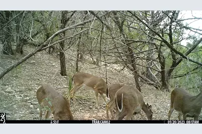 10700 Fm306, New Braunfels, TX 78132 - Photo 29