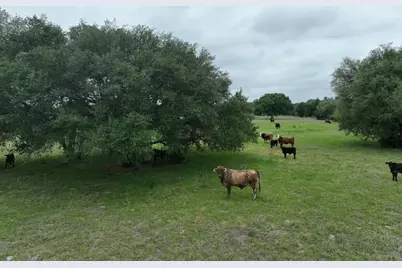 Tbd Lot 3 County Road 127 Road, Ledbetter, TX 78946 - Photo 1