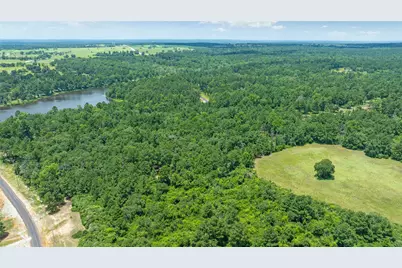 000 Pr 1314, Centerville, TX 75833 - Photo 5