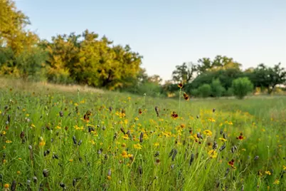 000 Rr #1323, Johnson City, TX 78636 - Photo 23