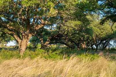 000 Rr #1323, Johnson City, TX 78636 - Photo 29