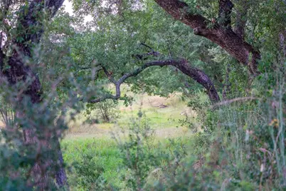 000 Rr #1323, Johnson City, TX 78636 - Photo 17