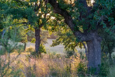 000 Rr #1323, Johnson City, TX 78636 - Photo 5