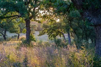 000 Rr #1323, Johnson City, TX 78636 - Photo 15