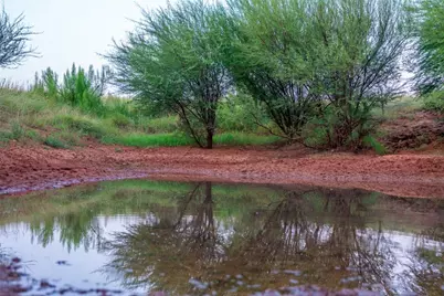 000 Rr #1323, Johnson City, TX 78636 - Photo 9