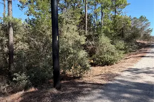 Lot 320 Keneka Ln, Bastrop, TX 78602 - Photo 1