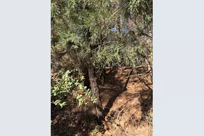 Lot 320 Keneka Lane, Bastrop, TX 78602 - Photo 5