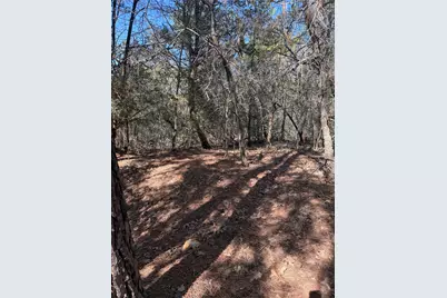 Lot 320 Keneka Lane, Bastrop, TX 78602 - Photo 7