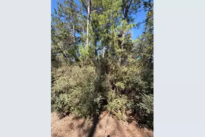 Lot 320 Keneka Lane, Bastrop, TX 78602 - Photo 3