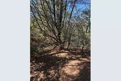 Lot 320 Keneka Lane, Bastrop, TX 78602 - Photo 9