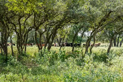 Tbd Cr 106, Rock Island, TX 77470 - Photo 21