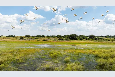 Tbd Cr 106, Rock Island, TX 77470 - Photo 3